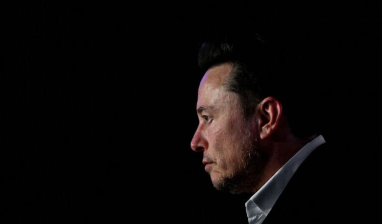 Tesla sales collapse, Musk blames everyone but himself